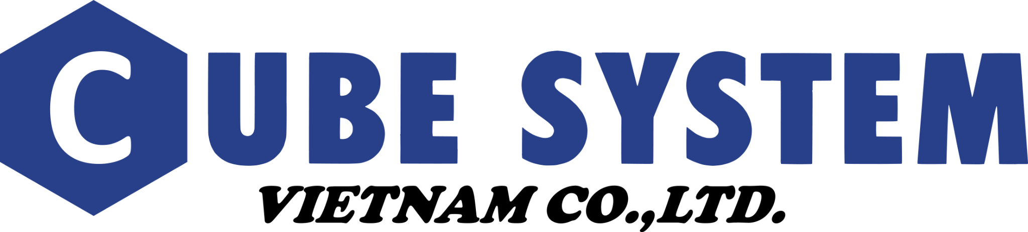 Logo Cube System Vietnam